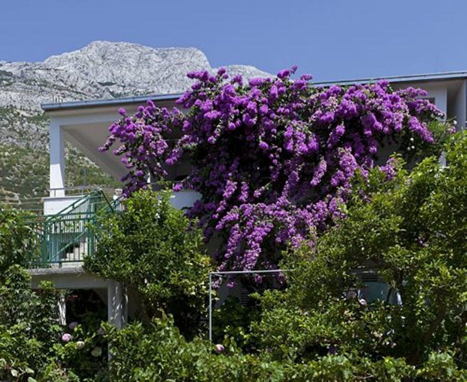 Ferienwohnung House Marta Baška Voda Exterior foto
